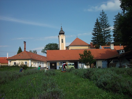 bakonybel1